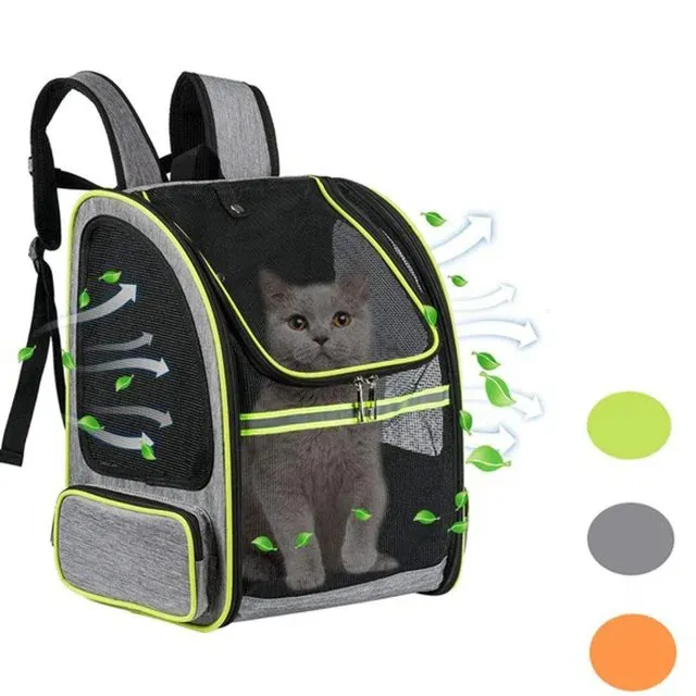 Mála Iompróir Muc Guine