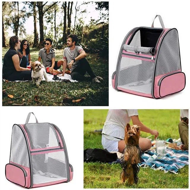 pet-bird-carrier-bag32531521584